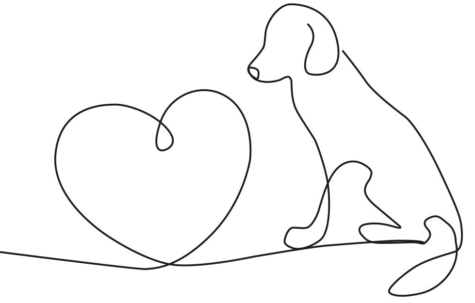 dog heart