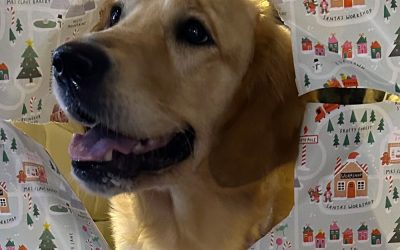 Marmalade’s Litter